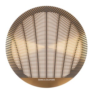 Bang & Olufsen Celestial Advanced Grille 6”-8” Voorgrill