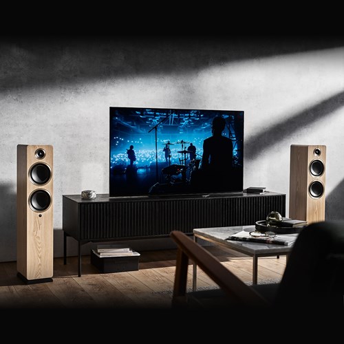 Argon Audio FENRIS A55 Kabelloser Lautsprecher - Stereo