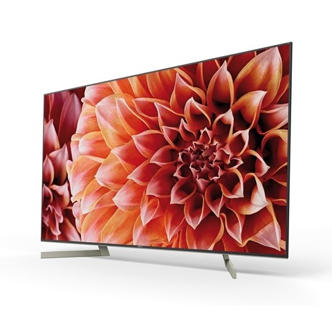 Sony KD-65XF9005 TV