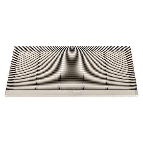 Bang & Olufsen Palatial Advanced Grille LCR66 Frontskydd