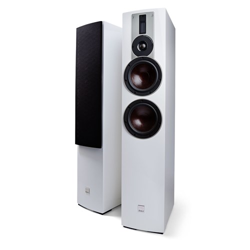 DALI DALI Rubicon + Sub P10 DSS 5.1 Lautsprechersystem Lautsprechersystem