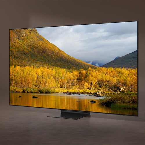 Samsung QE65QN95A Neo QLED-TV