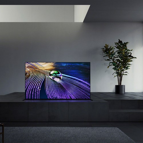 Sony XR-65A90J OLED-TV