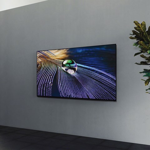 Sony XR-65A90J OLED-TV