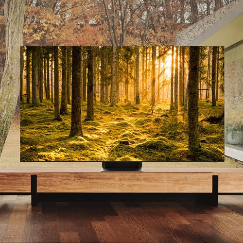 Samsung QE75QN900B Neo QLED-TV