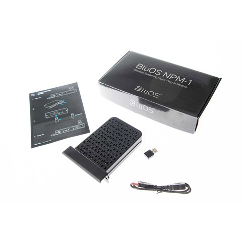 DALI BluOS NPM-1 Bluesound Opgradering