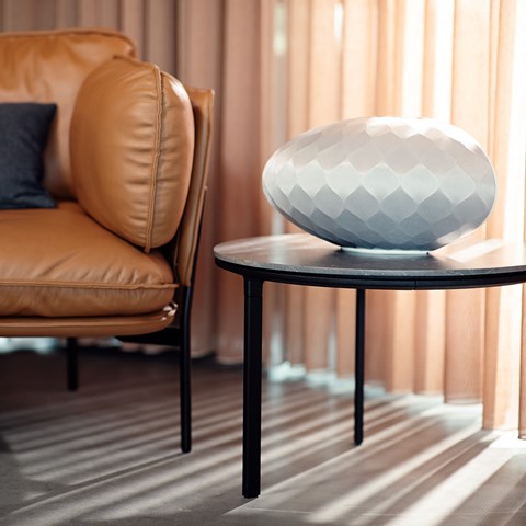 Bowers & Wilkins Formation Wedge Trådlös högtalare