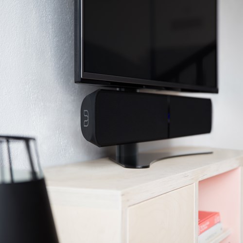 Bluesound TS100 Bordsstativ