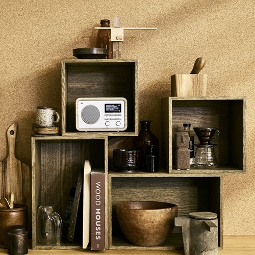 Argon Audio RADIO2i Radio