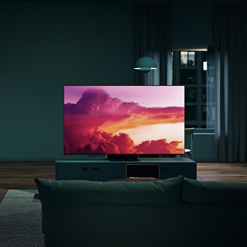 Samsung S95C 55" OLED-TV