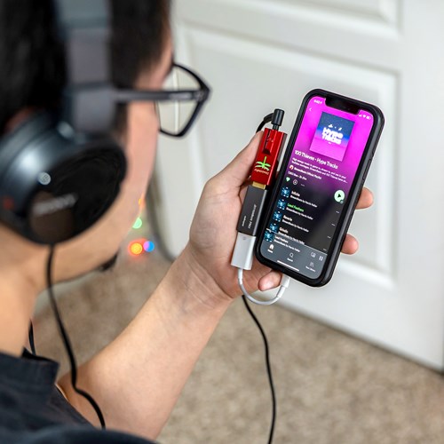 AudioQuest JitterBug FMJ Ruisfilter
